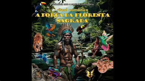  A Floresta Sagrada: Uma Jornada Alucinante Através da Cor e da Forma!